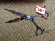Jaguar "Jay2" # 4.1 5.75" Crane Design Scissor,  Create dreams.